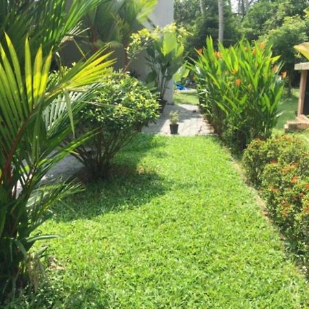 טריואנדרום White Butterfly - A Countryside Homestay מראה חיצוני תמונה