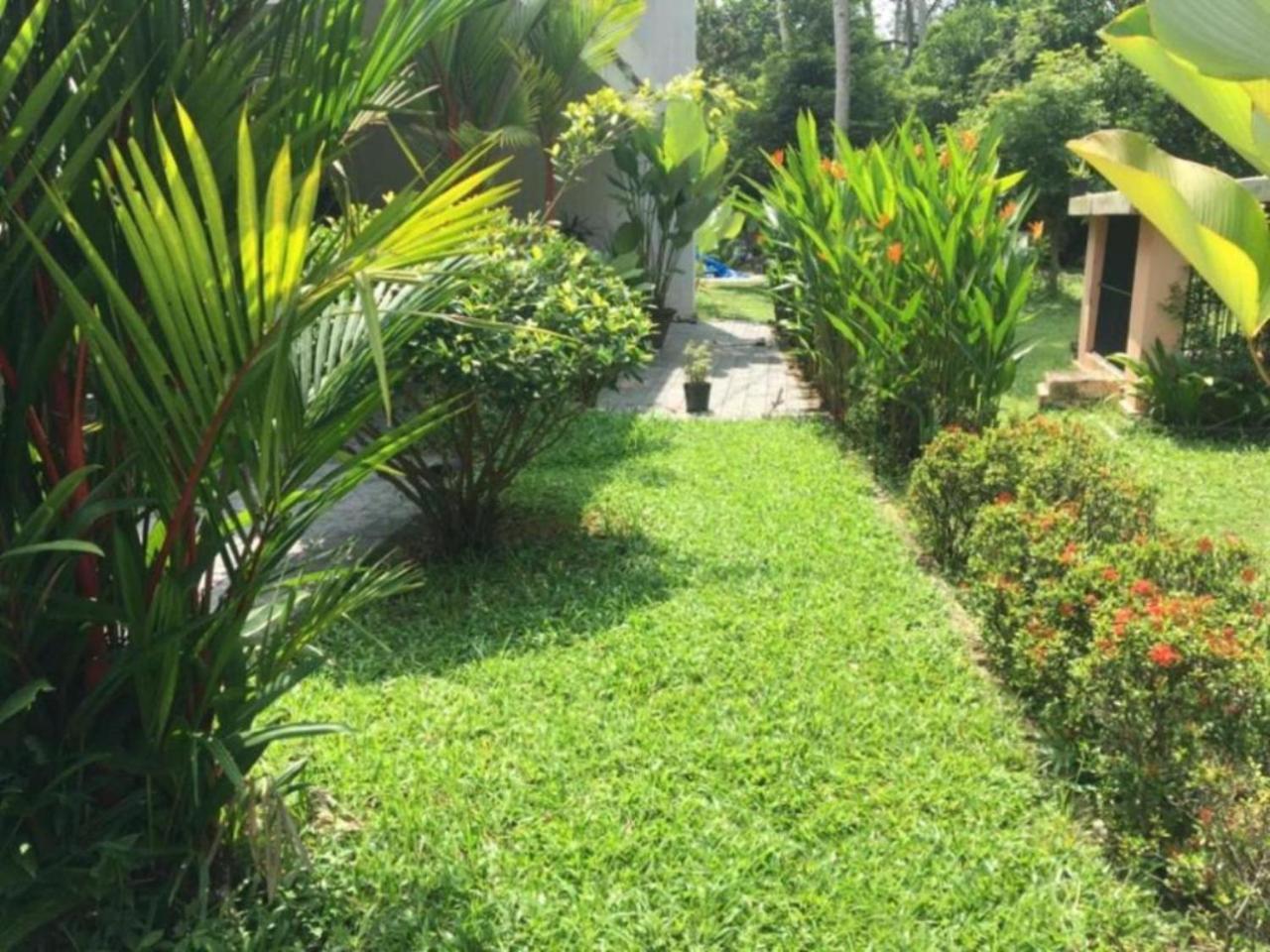 טריואנדרום White Butterfly - A Countryside Homestay מראה חיצוני תמונה